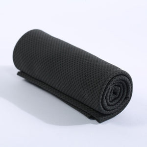 Microfiber Quick Dry Iced Sports Towel